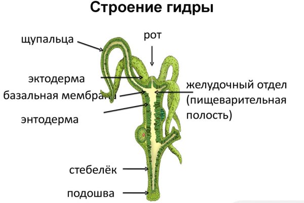Кракен шоп это