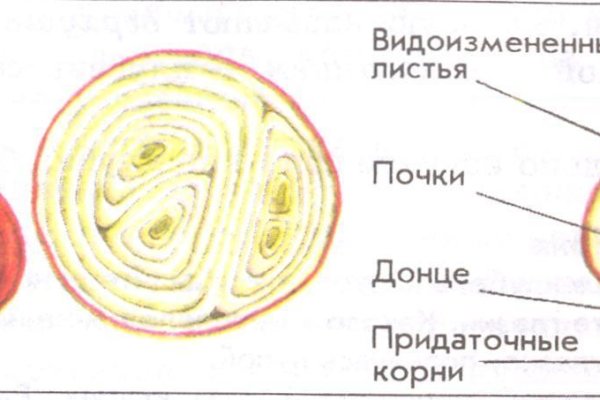 Что продают в кракен маркете