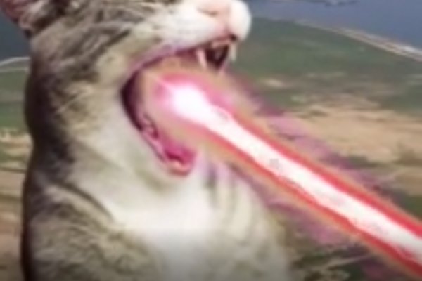 Сайты наркоты