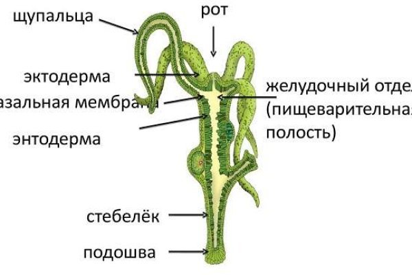 Кракен площадка зеркало