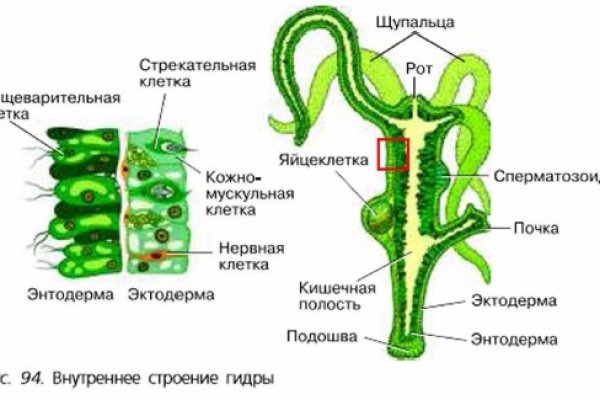 Kra50.at Вход на сайт главная страница