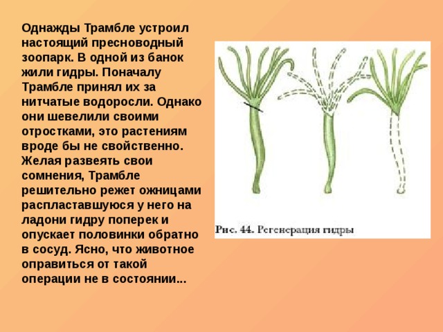 Кракен как зайти через тор браузер